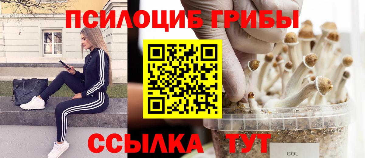 Псилоцибиновые грибы ЛСД Лабинск